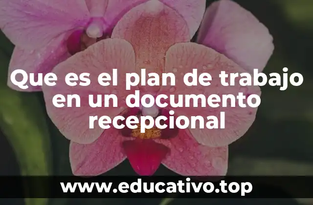 Que es el plan de trabajo en un documento recepcional