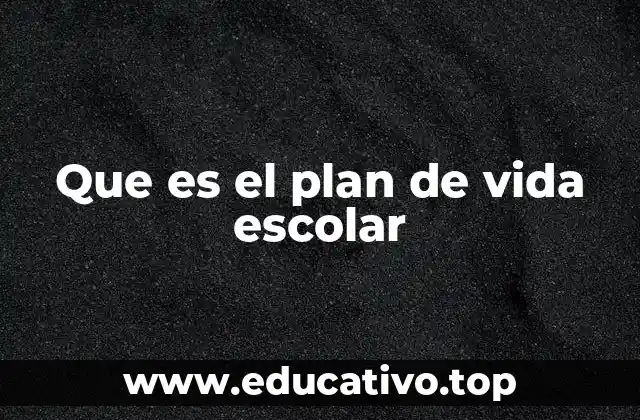 Que es el plan de vida escolar
