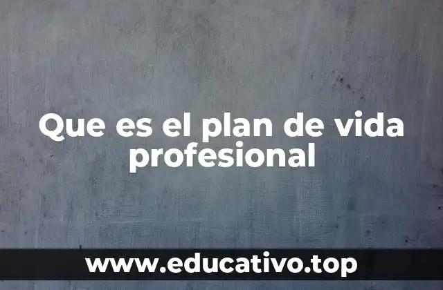 Que es el plan de vida profesional