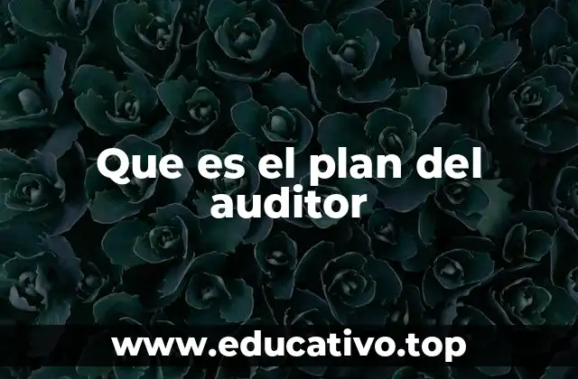 La importancia del plan del auditor en el proceso de auditoría