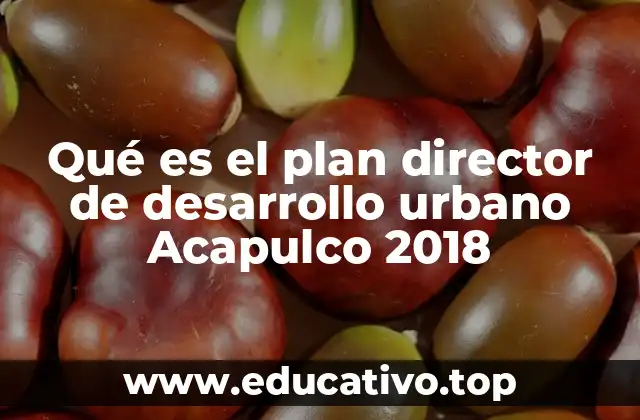 Qué es el plan director de desarrollo urbano Acapulco 2018