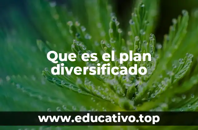 Que es el plan diversificado