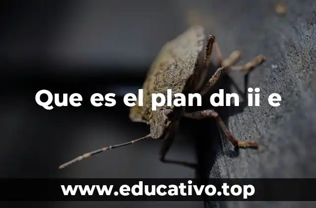 Que es el plan dn ii e