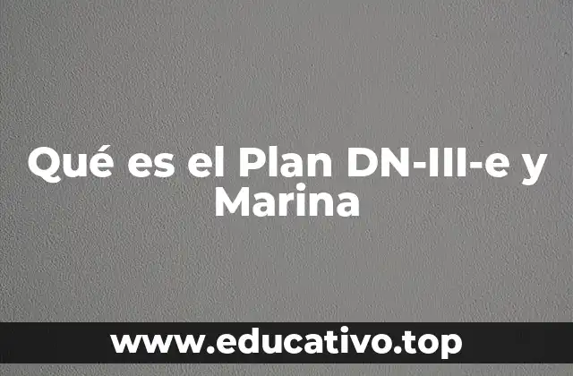Qué es el Plan DN-III-e y Marina