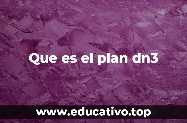 Que es el plan dn3