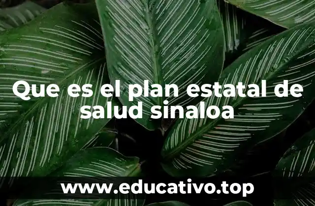Que es el plan estatal de salud sinaloa
