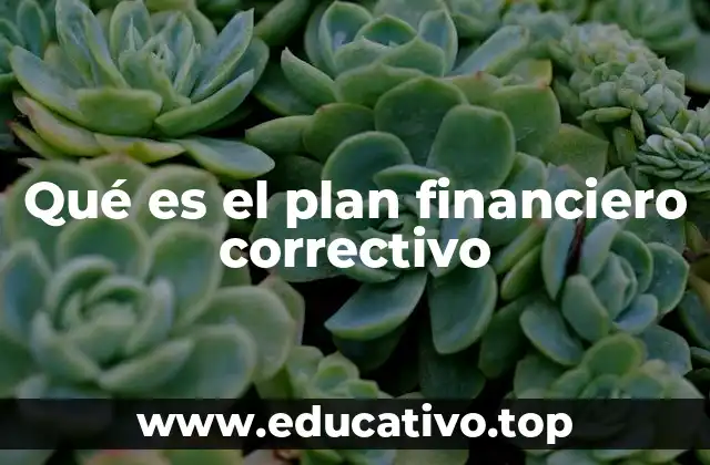 Qué es el plan financiero correctivo