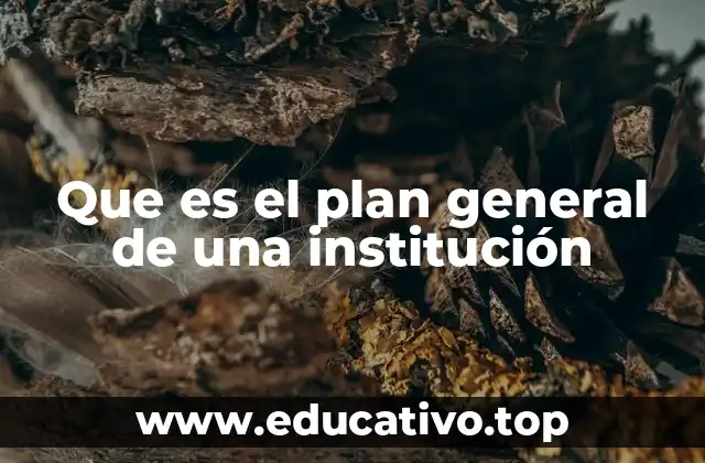 Que es el plan general de una institución