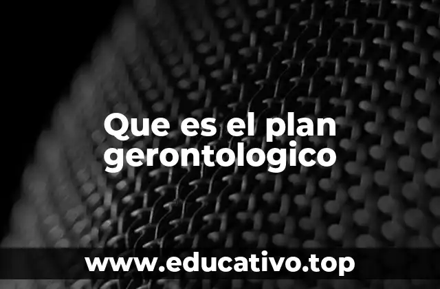 Que es el plan gerontologico
