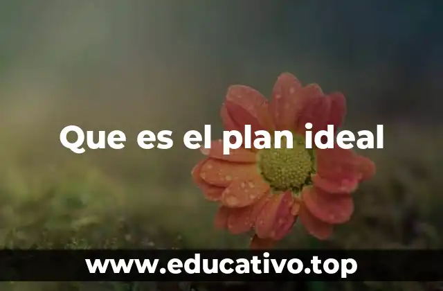 Que es el plan ideal