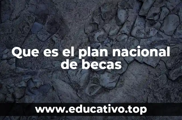 Que es el plan nacional de becas