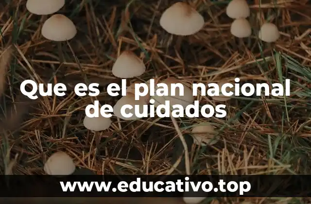 Que es el plan nacional de cuidados