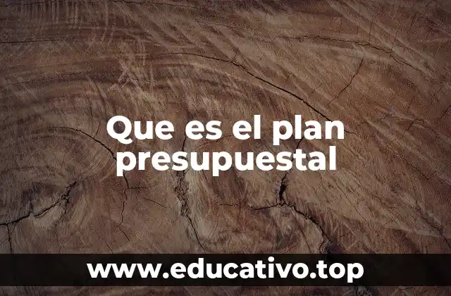 Que es el plan presupuestal