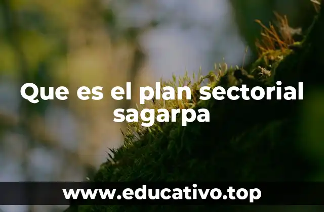 Que es el plan sectorial sagarpa