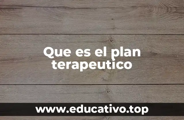 Que es el plan terapeutico