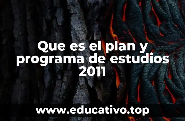 Que es el plan y programa de estudios 2011