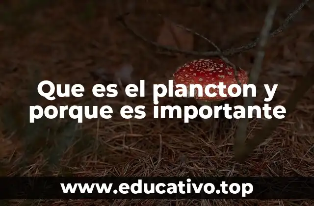 Que es el plancton y porque es importante