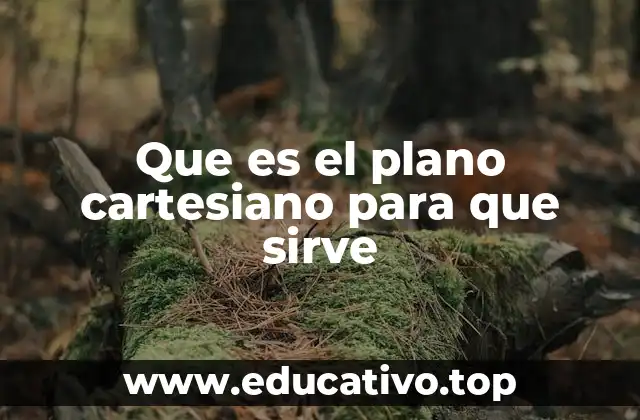 Que es el plano cartesiano para que sirve