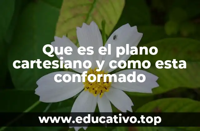 Que es el plano cartesiano y como esta conformado