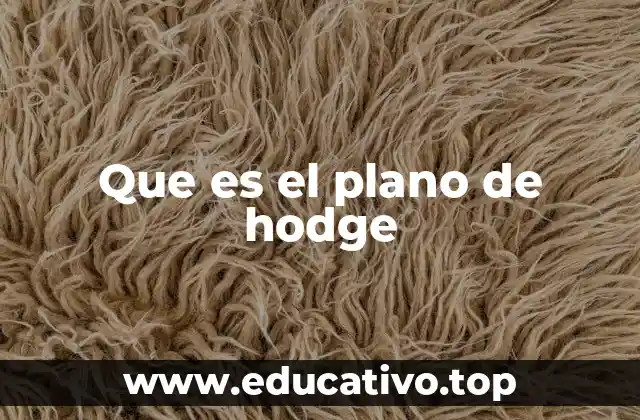 Que es el plano de hodge