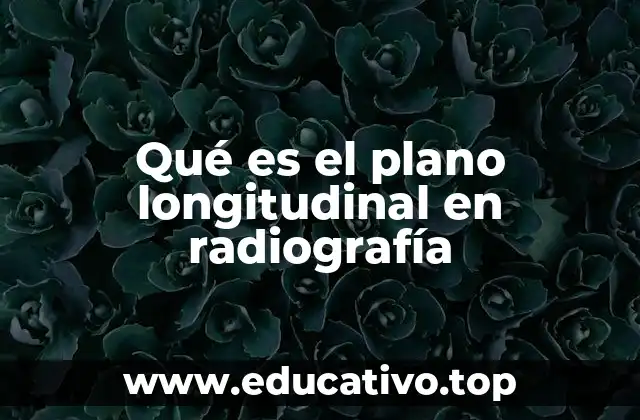 Qué es el plano longitudinal en radiografía