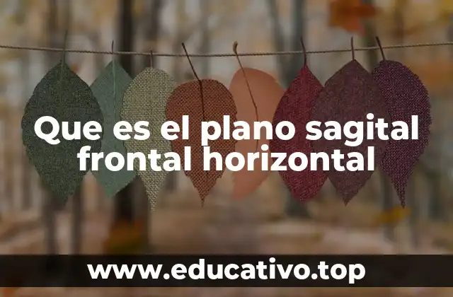 Que es el plano sagital frontal horizontal
