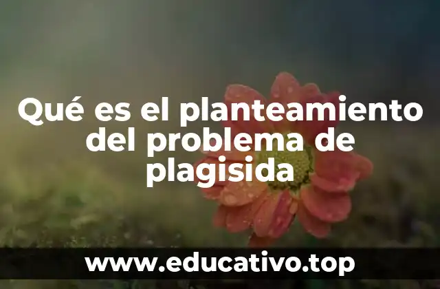 Qué es el planteamiento del problema de plagisida