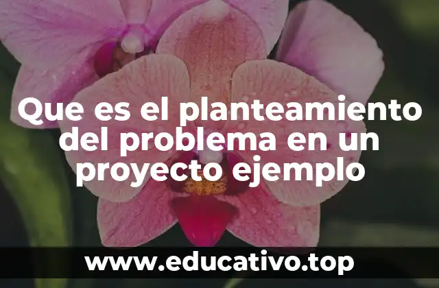Que es el planteamiento del problema en un proyecto ejemplo