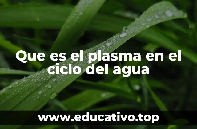 La relación entre el agua y los estados de la materia