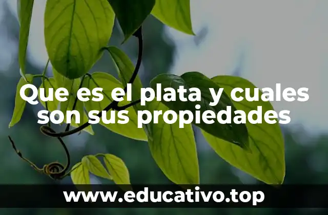 Que es el plata y cuales son sus propiedades