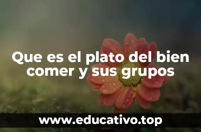 Que es el plato del bien comer y sus grupos