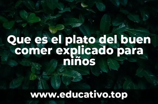 Que es el plato del buen comer explicado para niños