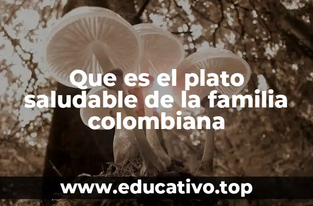 Que es el plato saludable de la familia colombiana