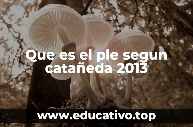 Que es el ple segun catañeda 2013