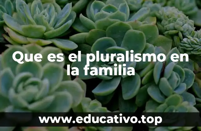 Que es el pluralismo en la familia