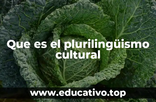 Que es el plurilingüismo cultural