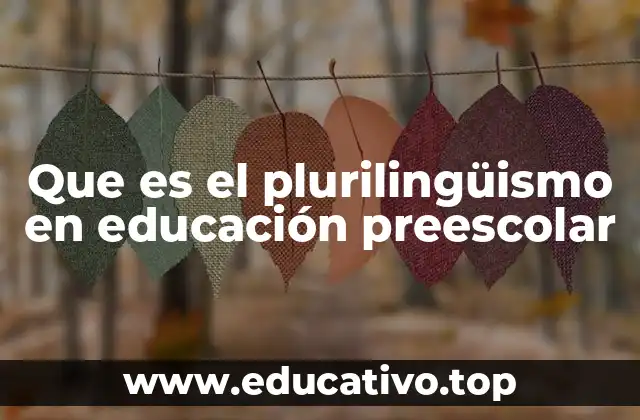 Que es el plurilingüismo en educación preescolar