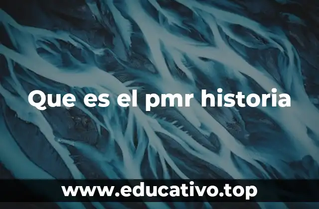 Que es el pmr historia
