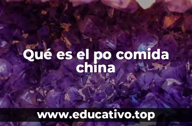 Qué es el po comida china