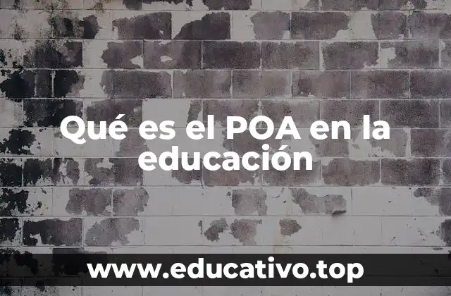Qué es el POA en la educación
