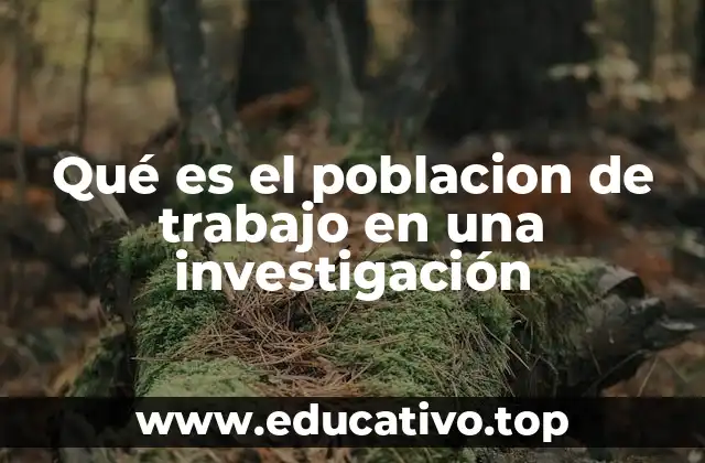 Qué es el poblacion de trabajo en una investigación