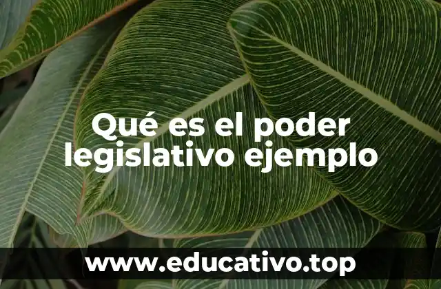 Qué es el poder legislativo ejemplo