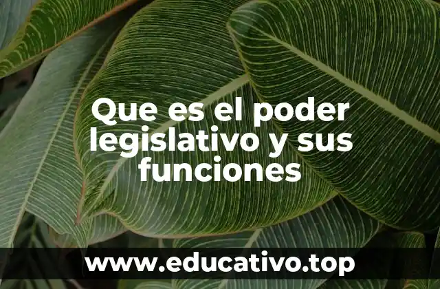 Que es el poder legislativo y sus funciones
