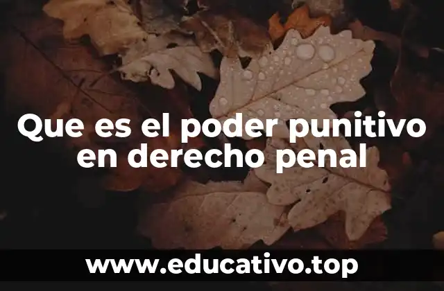Que es el poder punitivo en derecho penal