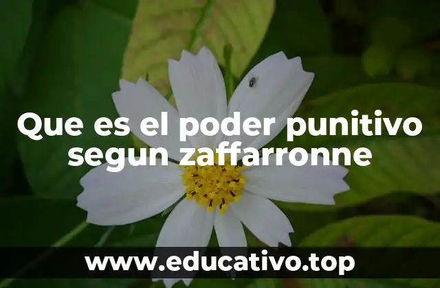 Que es el poder punitivo segun zaffarronne