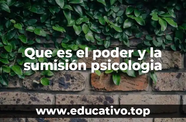 Que es el poder y la sumisión psicologia