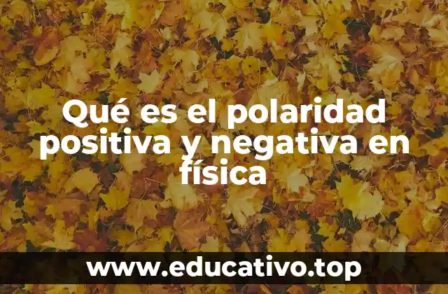 Qué es el polaridad positiva y negativa en física