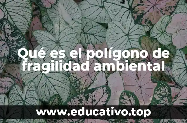 Qué es el polígono de fragilidad ambiental