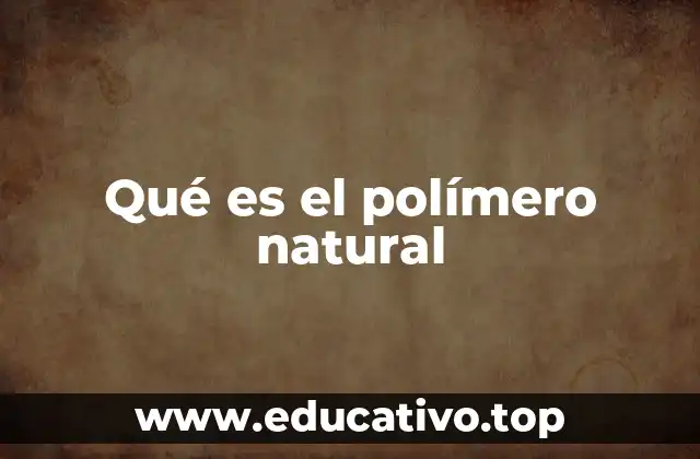 Qué es el polímero natural
