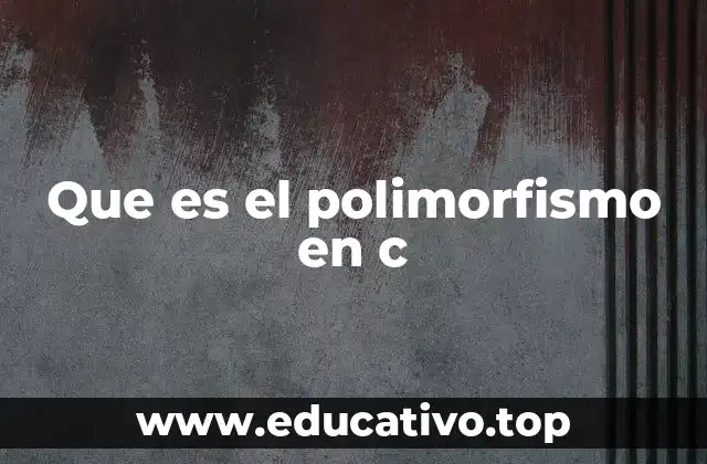 Que es el polimorfismo en c